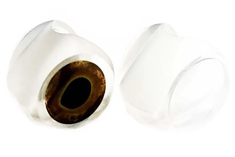 Fischmaske