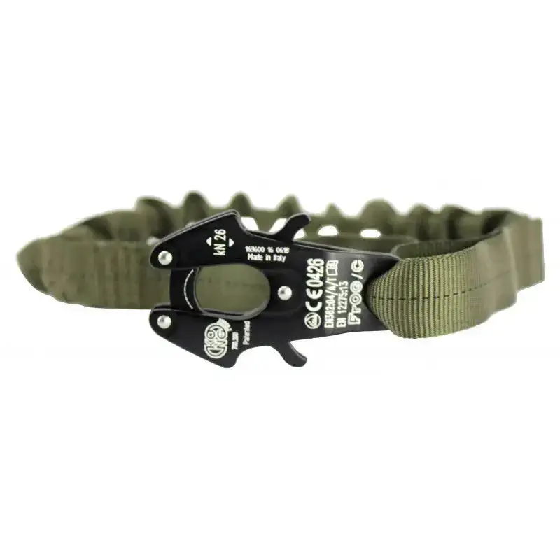 Lanyard Frog