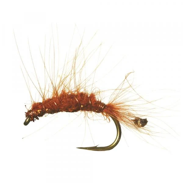 UF CDC Tangloppe