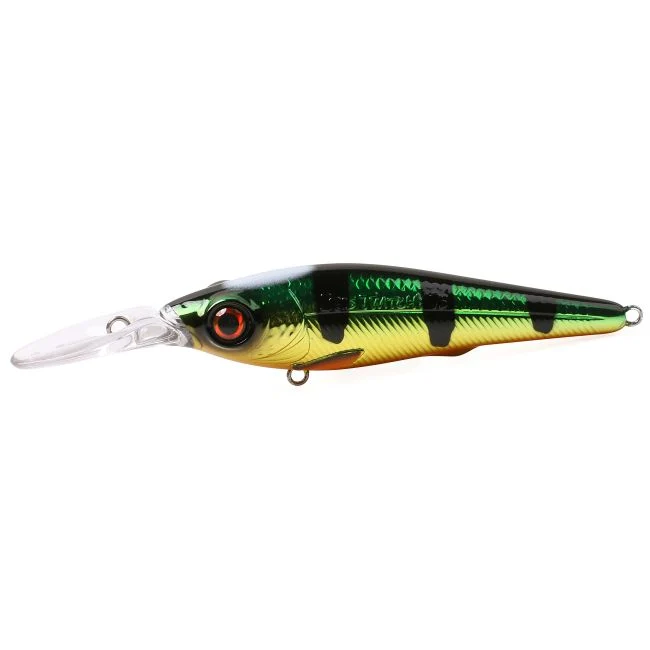 Angelkurs Barsch mit der Spinnrute 3h pro Person all inclusive
