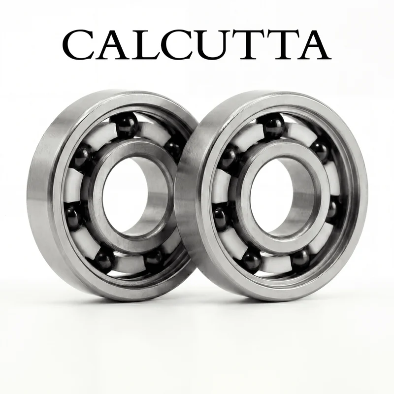 RL-TNG APEX Spulenlager Set für Shimano Calcutta