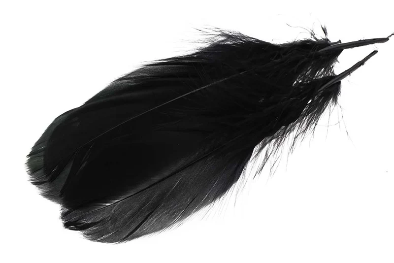 Schulterfeder der Gans - Schwarz