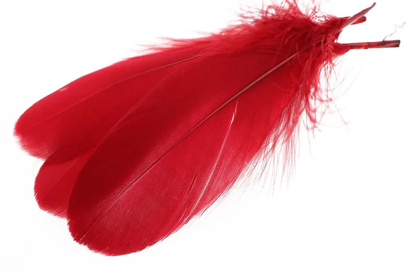 Schulterfeder der Gans - Rot