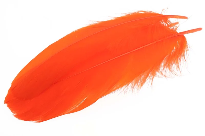 Schulterfedern der Gans - Orange