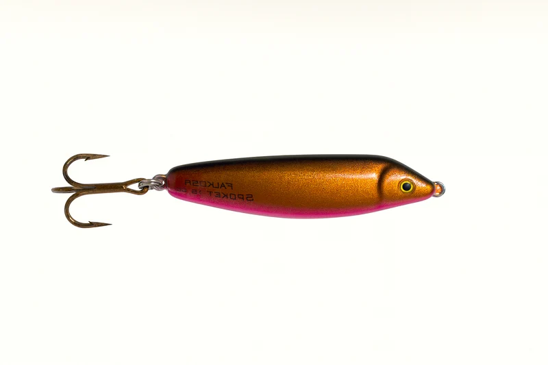 Falkfish Spöket