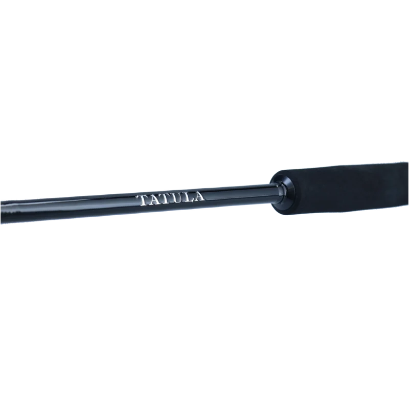 DAIWA Tatula XT SPIN UL L ML MH Spinnrute