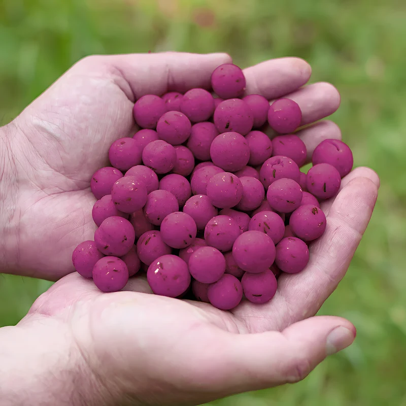 Tasty Baits Mulberry Boilies 20mm 10kg – hochwertige Karpfenköder