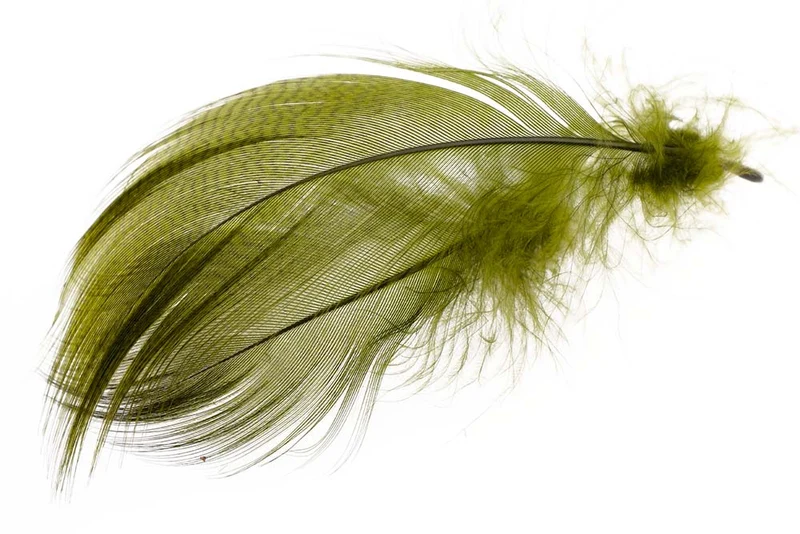Stockente mit gebänderter Flanke - Olive
