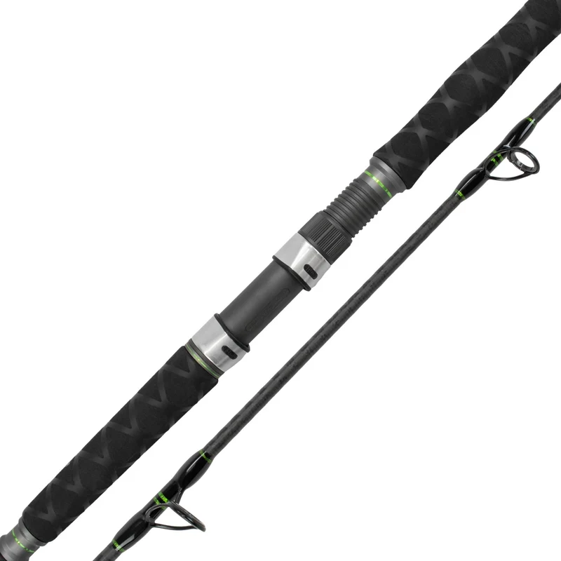 Catix Spin Welsrute 2,70m | 50-180g Wurfgewicht
