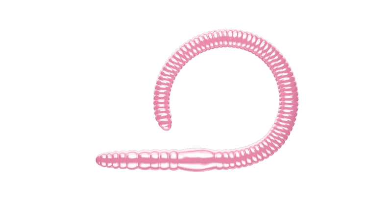 LIBRA LURES FLEX WORM Forellen Gummiköder Auftreibend mit Aroma