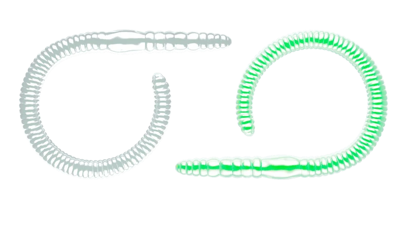 LIBRA LURES FLEX WORM Forellen Gummiköder Auftreibend mit Aroma