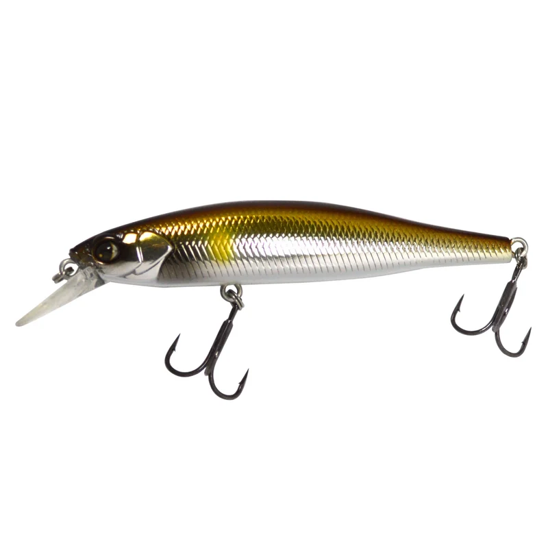 Owner CT Minnow
