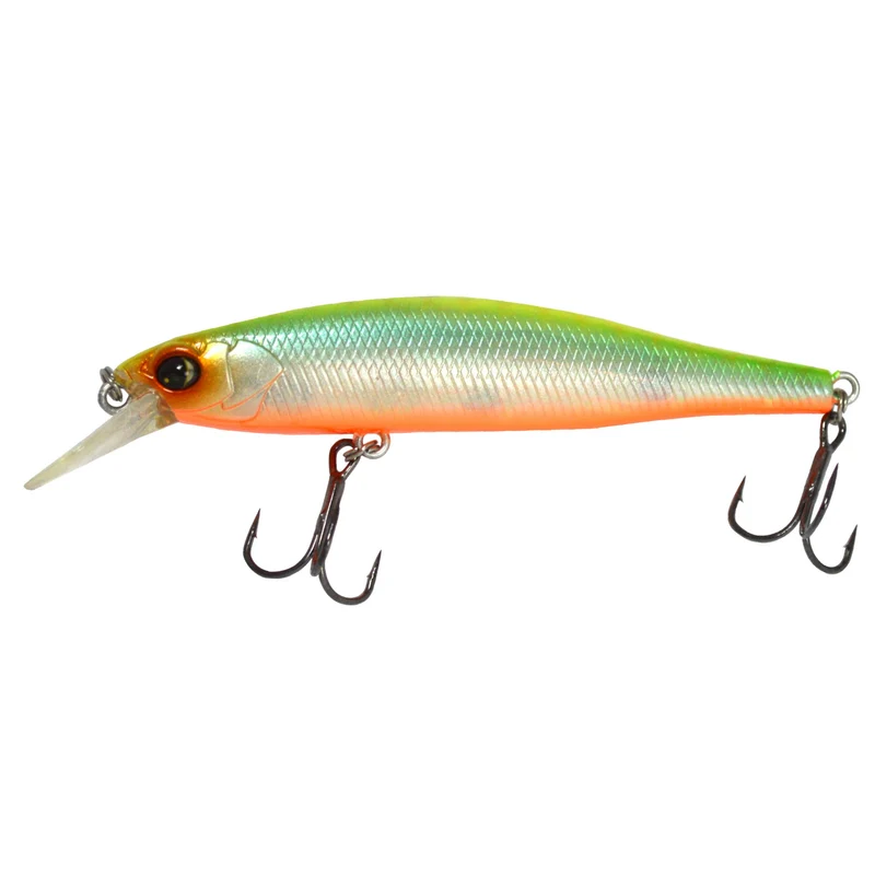 Owner CT Minnow