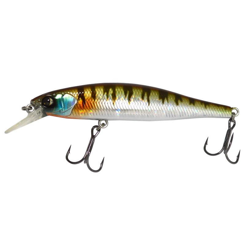 Owner CT Minnow