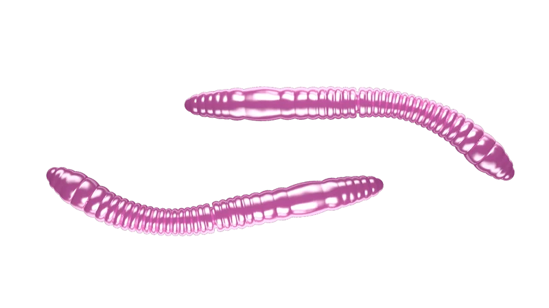 LIBRA LURES FATTY D'WORM TOURNAMENT Forellen Gummiköder Auftreibend mit Aroma