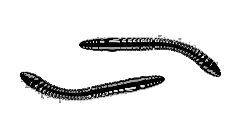 LIBRA LURES FATTY D'WORM TOURNAMENT Forellen Gummiköder Auftreibend mit Aroma