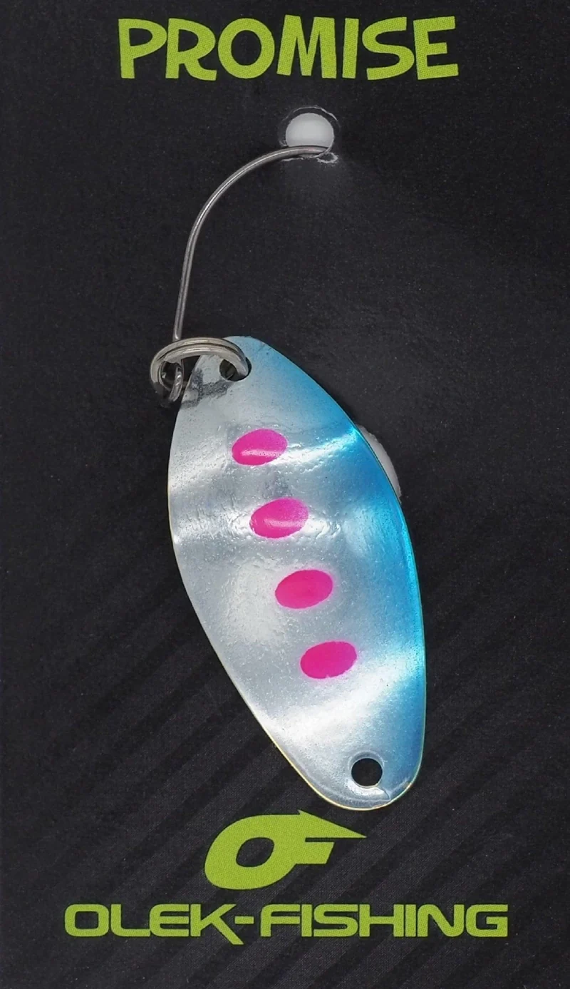 OLEK-Fishing Promise Young Salmon