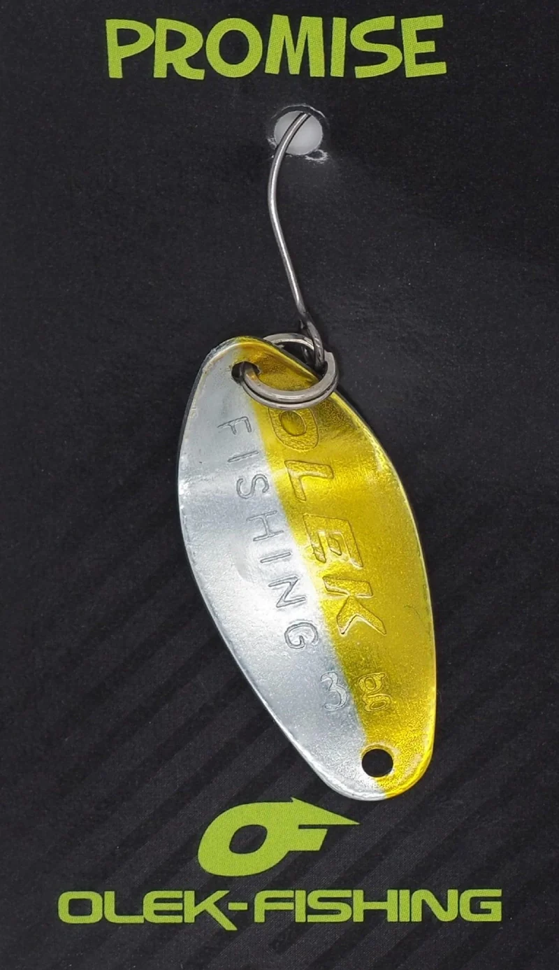 OLEK-Fishing Promise Young Salmon
