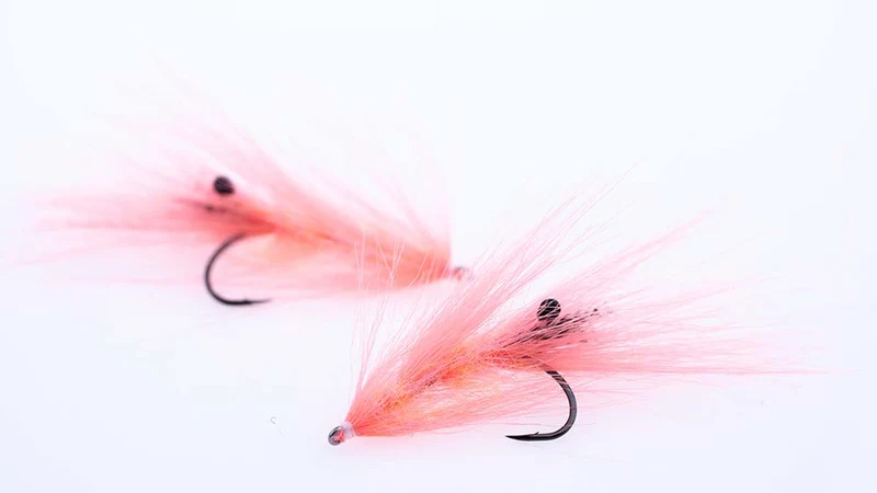 Materialset – Shank das Schwein
