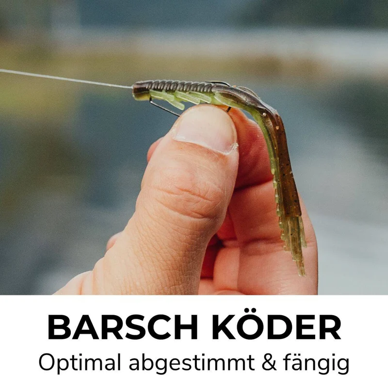 Perch Go Kit 2 Barsch Starter Combo