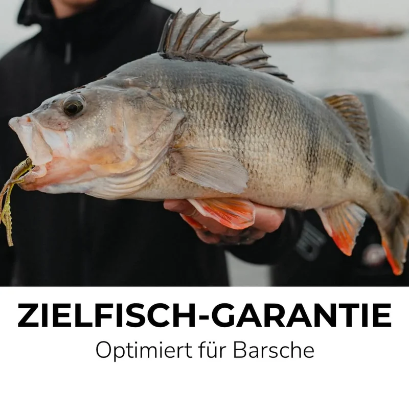 Perch Go Kit 2 Barsch Starter Combo