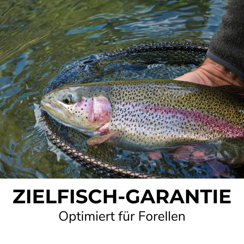 Trout Go Kit 2 Forellen Starter Combo