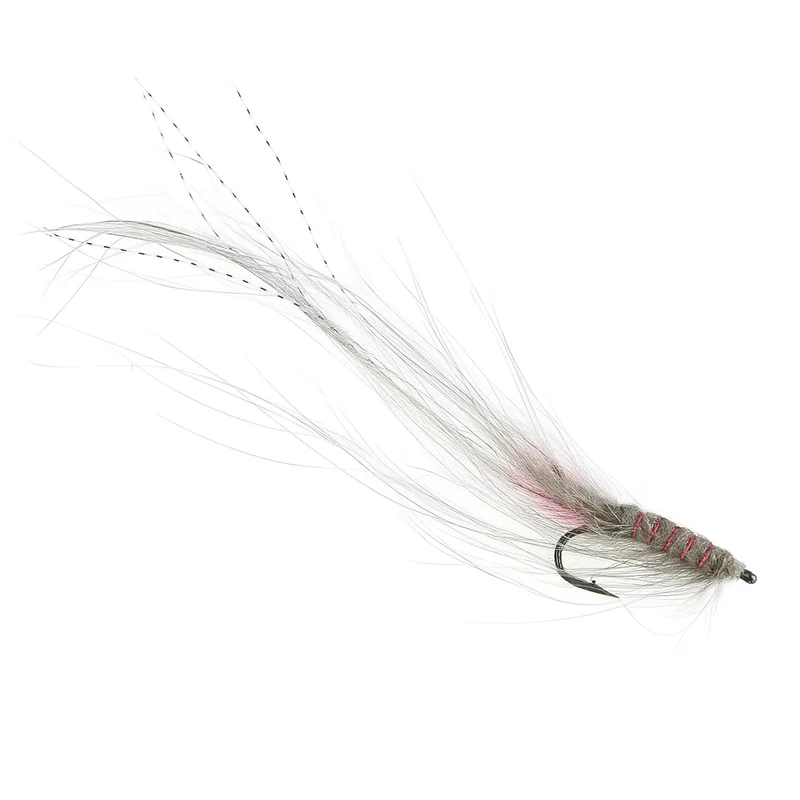 Grey Shellback Pattegrisen (UV)