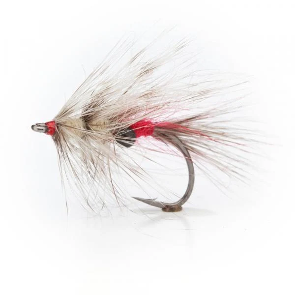 Vaskebjornen Grizzly
