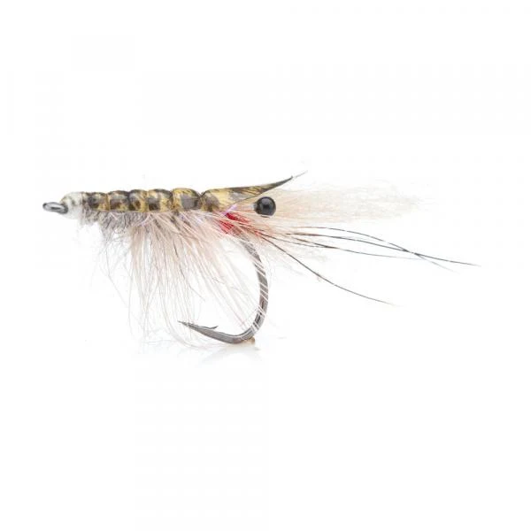 John Shrimp Grey