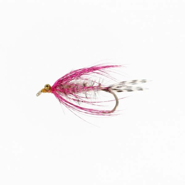 Polar Magnus UV