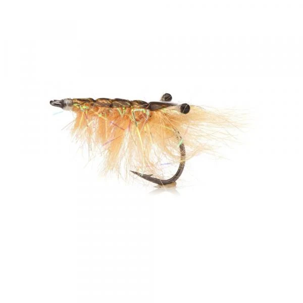 UF Polarrejen Brown Sand