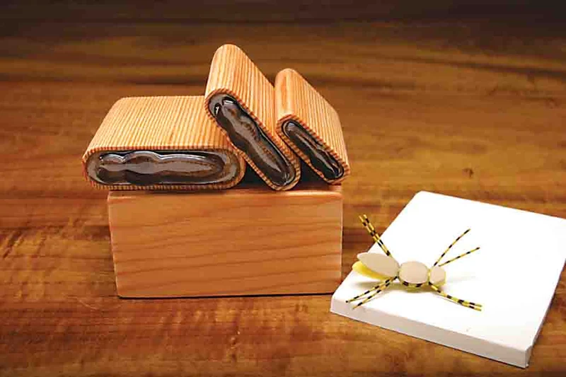 Schaumstoffkäfer-Schaumstoffschneider-Set - Biberschwanz