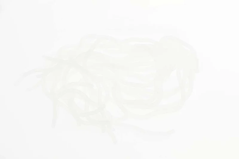 Sili Squirmy Wormy - Clear Frost
