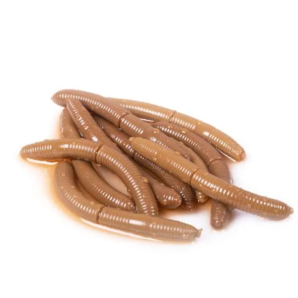 Libra Lures Fatty D'Worm 6,5 cm | 10 Stück