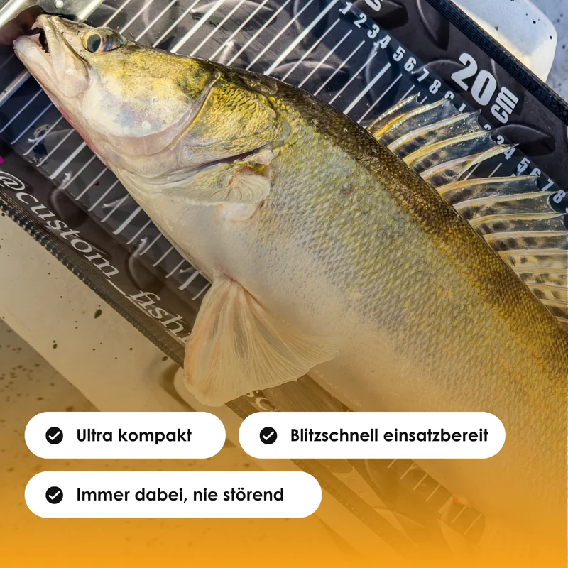 FoldScale – kompakt klappbar & ready für deinen Rekordfang