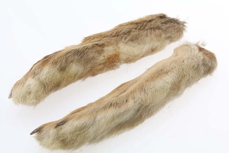 Hasenpfoten, Naturweiß