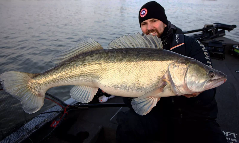 BASSASSIN Lockstoff Bang Attractant
