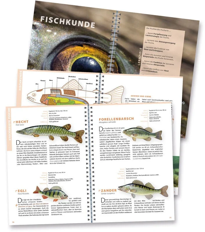 Schweizer Sportfischer Brevet 2026 Deutsch