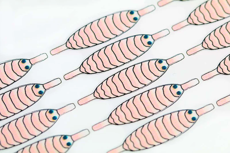Pro Gammarus Shield – Shell Pink