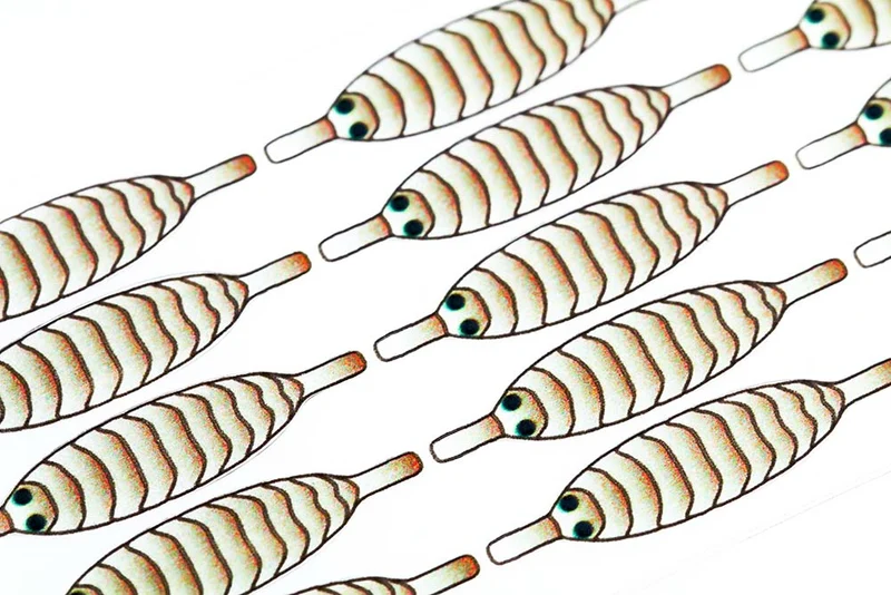Pro Gammarus Schild - Braun