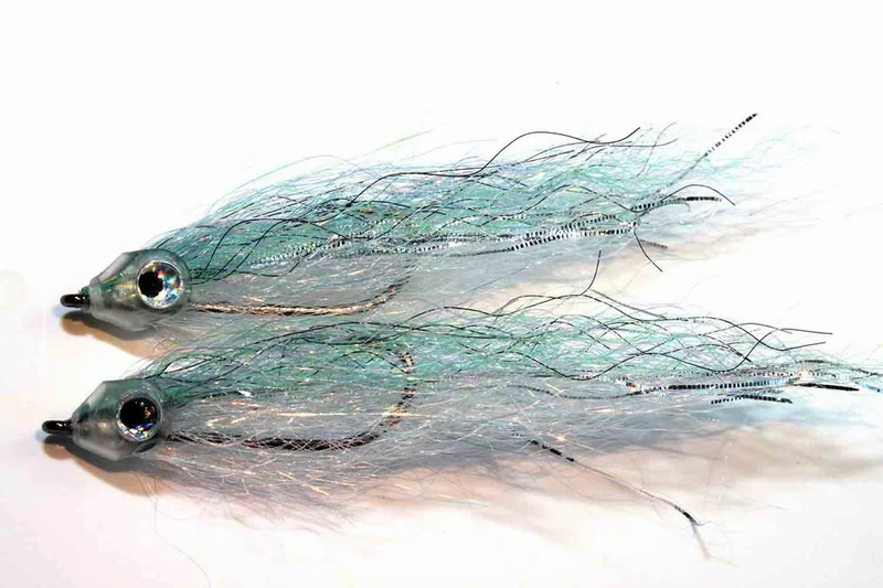Steve Fisch