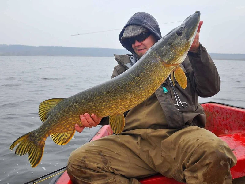 Materialset – Flash Pike Streamer