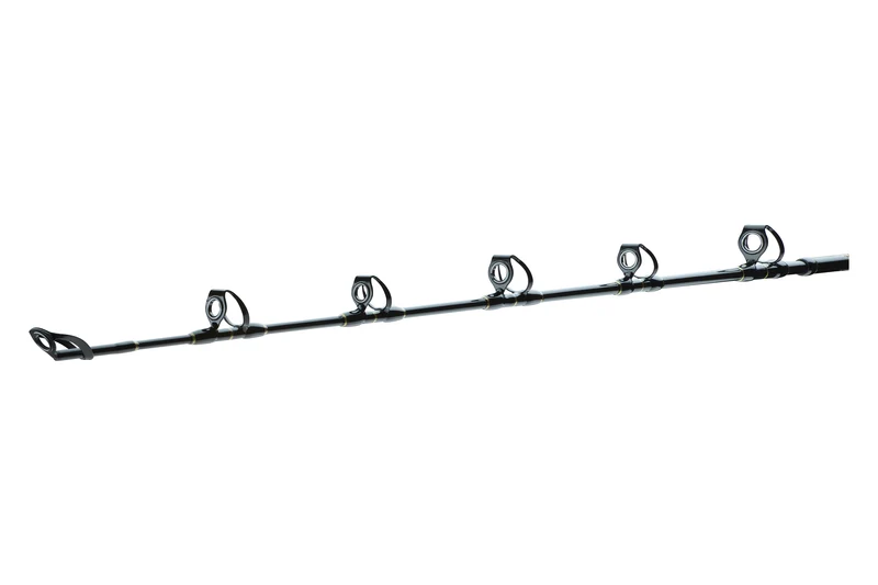 DAIWA BG Big GAME 1,68m 20-30lbs 30-50lbs