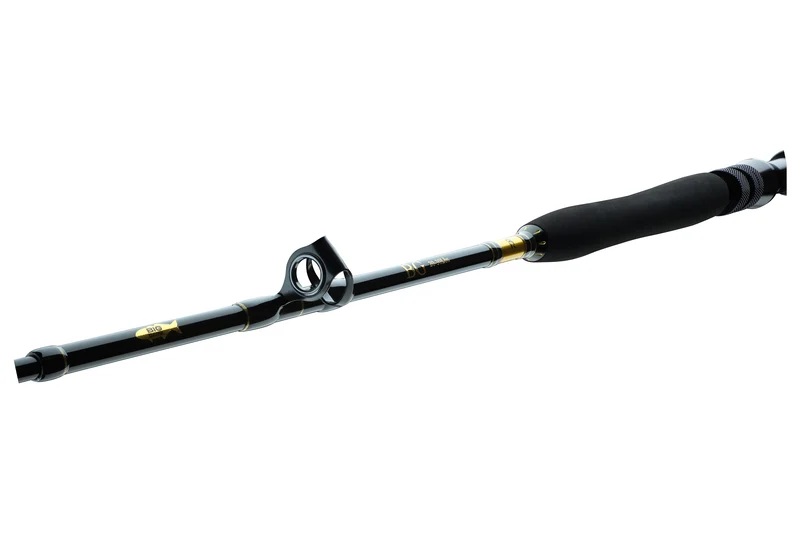 DAIWA BG Big GAME 1,68m 20-30lbs 30-50lbs