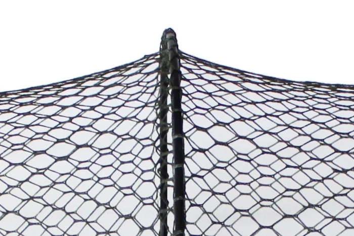 Delphin BASE Setzkescher | Fischschonender Rund-Setzkescher für Friedfische