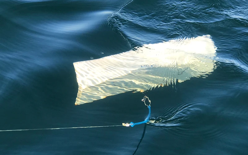 Gummiabsorber für Tiefseeblei, Unterwasserhund oder Downrigger