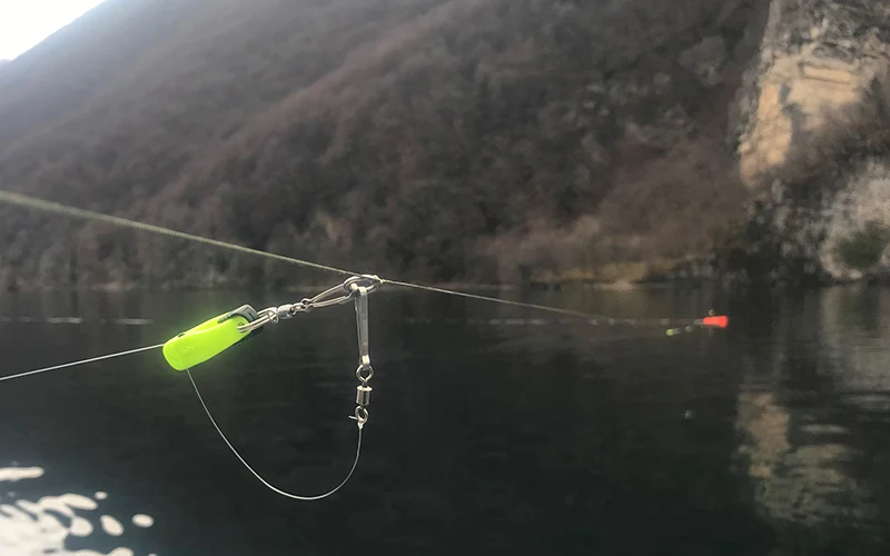 Bissanzeiger Clip