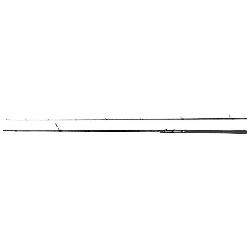 Silver Horizon Spinning