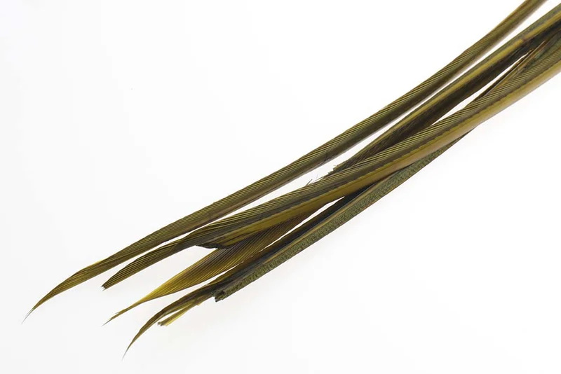 Truthahn-Biots - Olive
