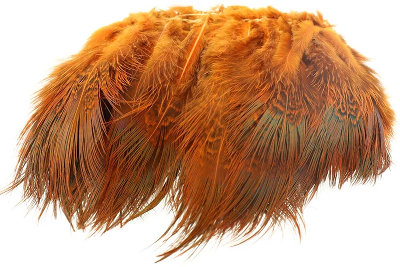Halsbandfedern - Orange